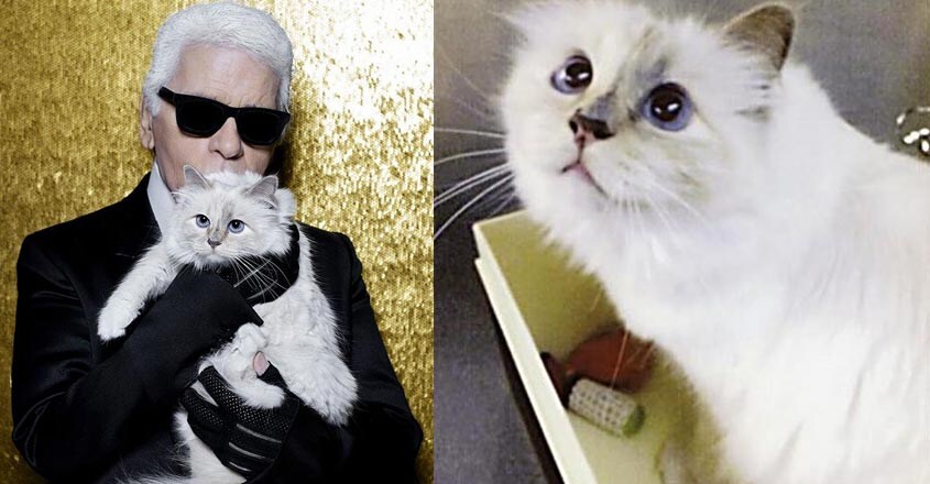 Karl Lagerfeld-cat-1 Karl Lagerfeld-cat-1
